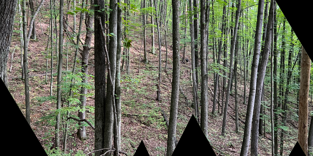 Hammock Hiking